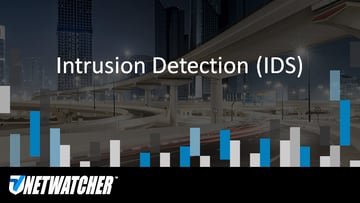 Intrusion Detection (IDS)
